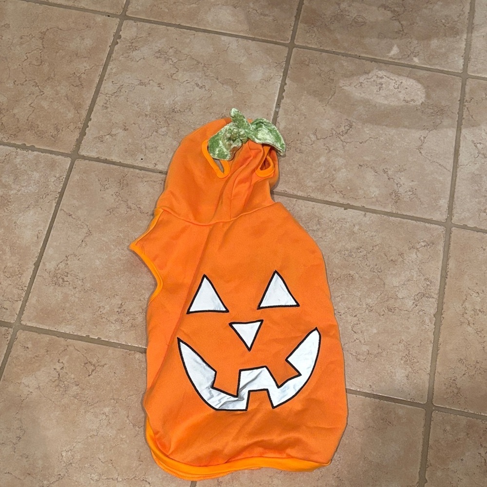 Dog size Medium Pumpkin Costume - Orange